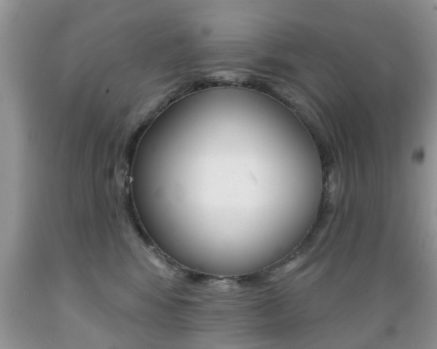 X0000089660424200706210734