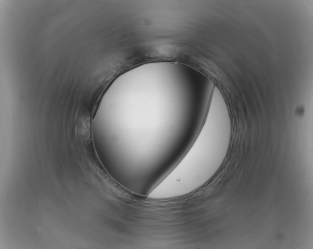 X0000089660425200706210734