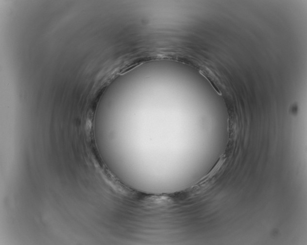 X0000089660427200706210734
