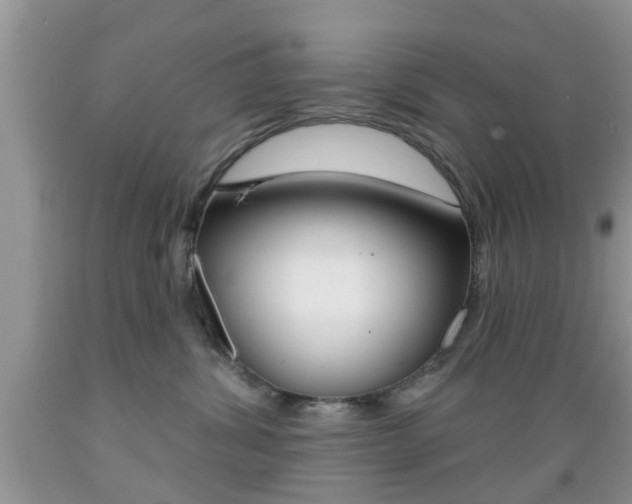 X0000089660428200706210734