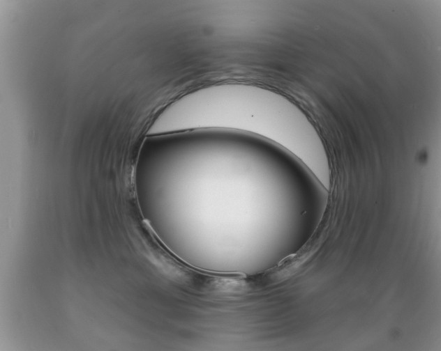 X0000089660429200706210734