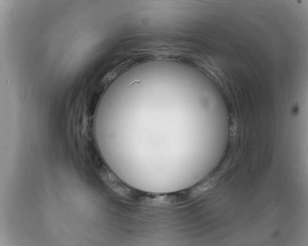 X0000089660430200706210734