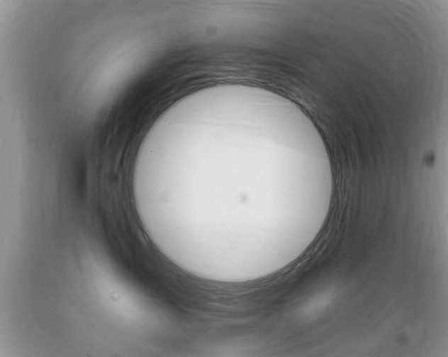X0000089660431200706210734