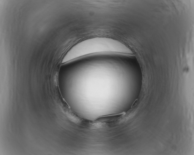 X0000089660432200706210734