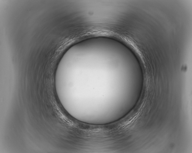 X0000089660433200706210734