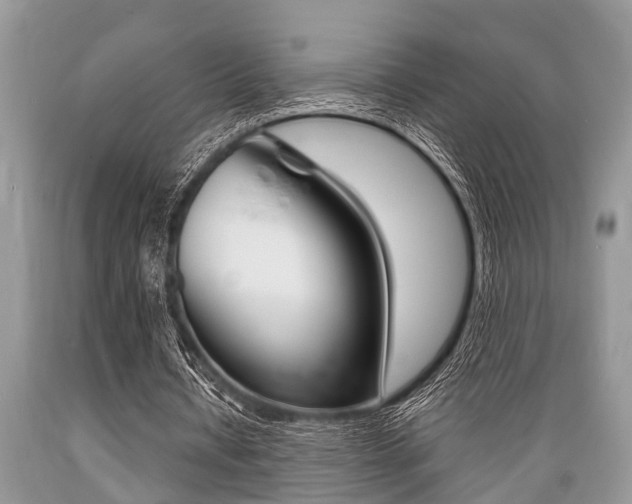 X0000089660434200706210734