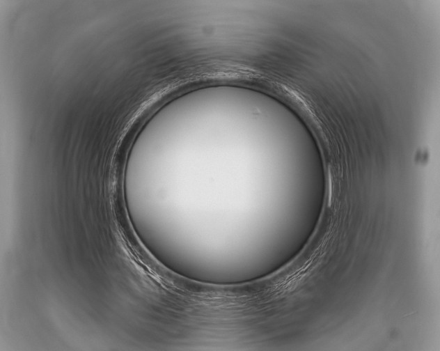X0000089660435200706210734