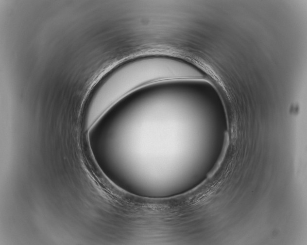 X0000089660436200706210734