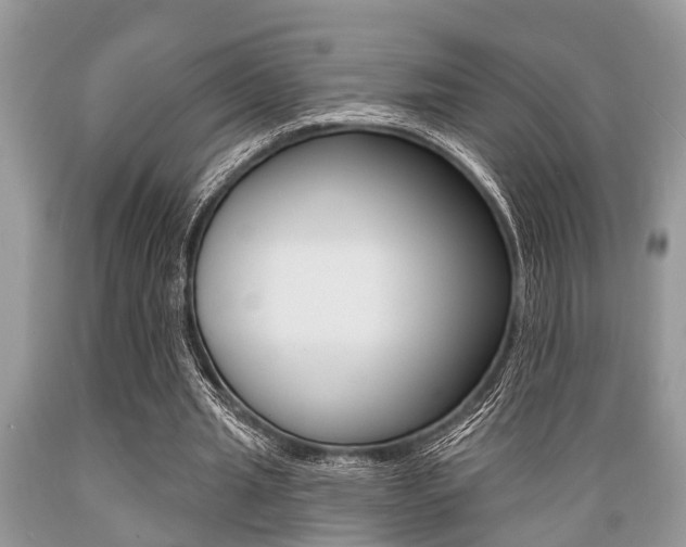 X0000089660437200706210734