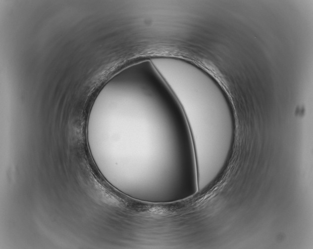 X0000089660441200706210734