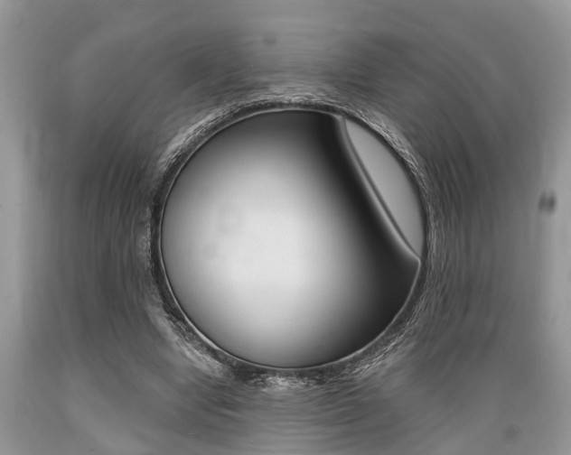 X0000089660442200706210734