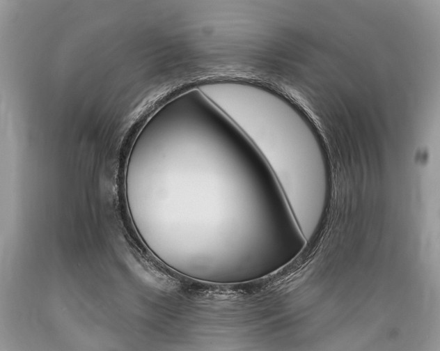 X0000089660443200706210734