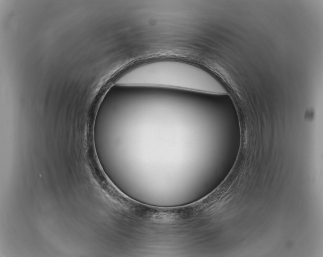 X0000089660444200706210734
