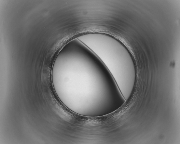 X0000089660445200706210734