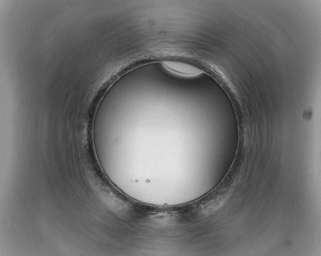 X0000089660447200706210734