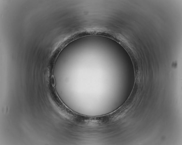 X0000089660448200706210734