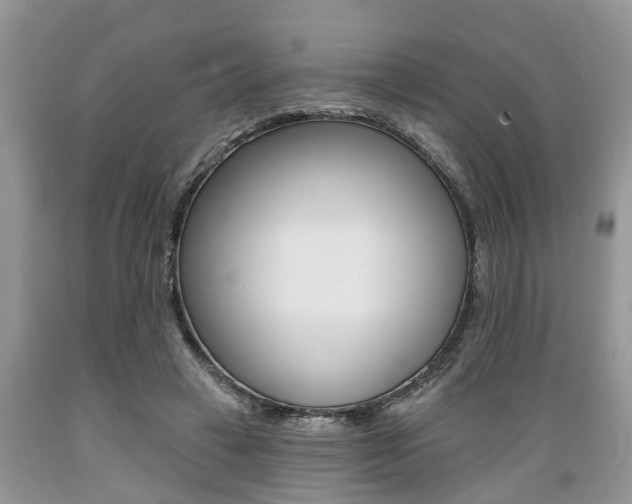 X0000089660449200706210734