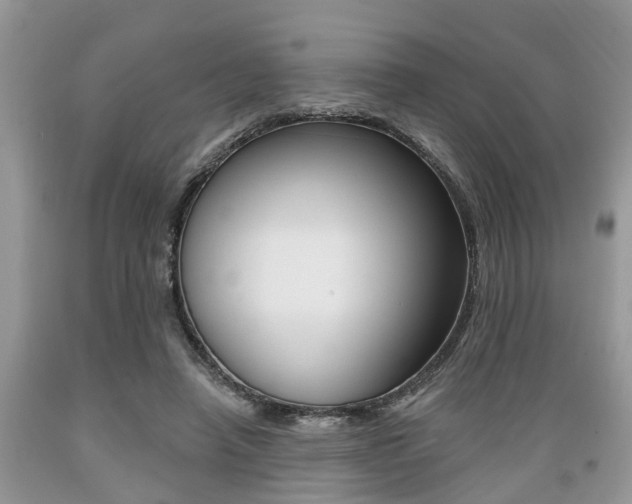 X0000089660450200706210734