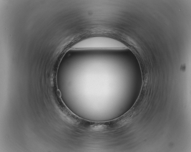 X0000089660452200706210734