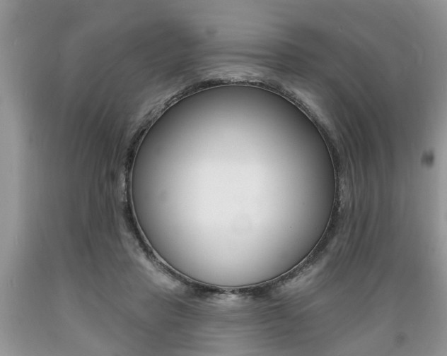 X0000089660453200706210734