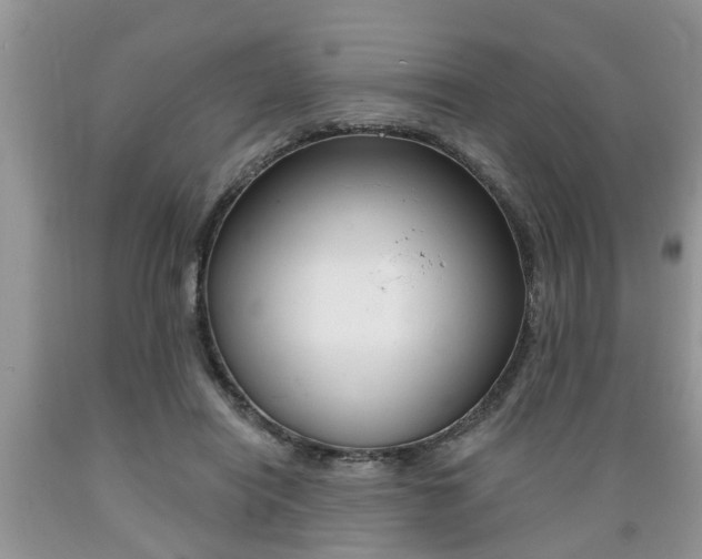 X0000089660454200706210734