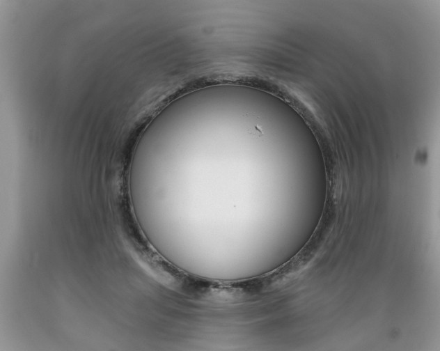 X0000089660455200706210734