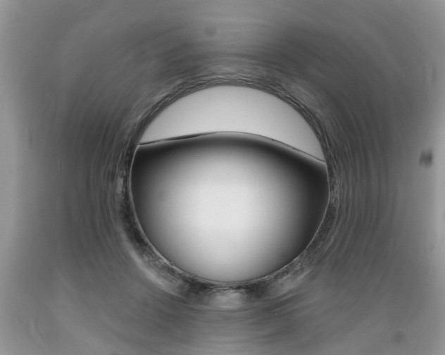 X0000089660456200706210734