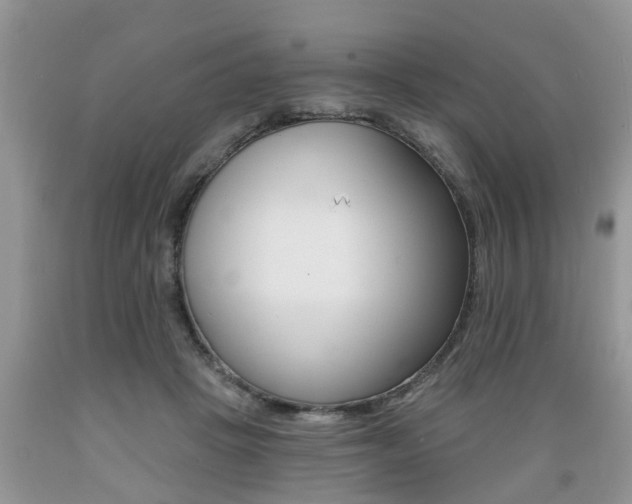X0000089660457200706210734