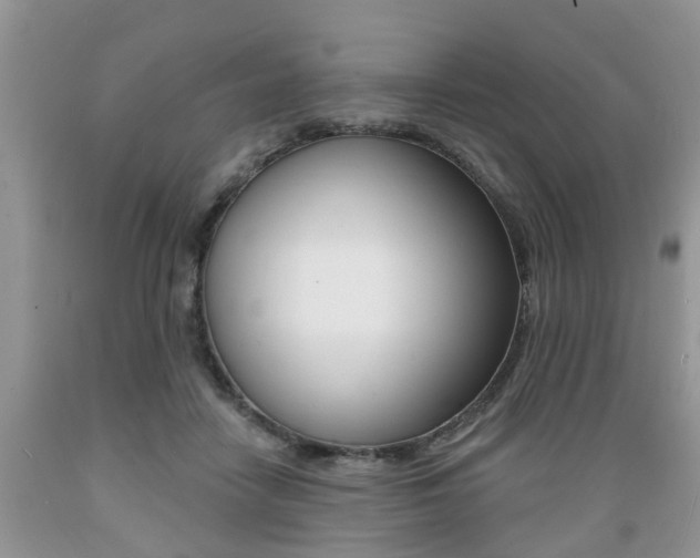 X0000089660458200706210734