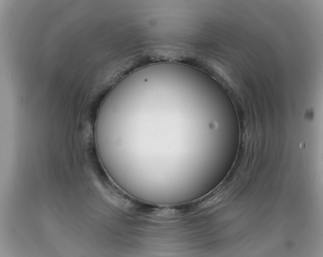 X0000089660459200706210734
