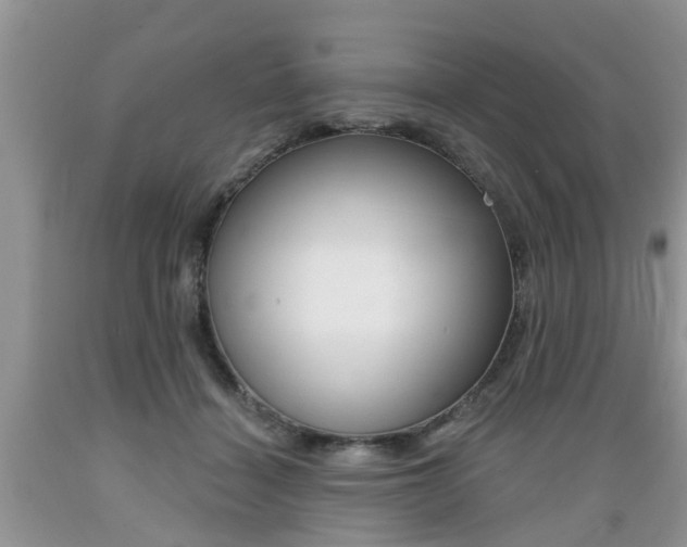 X0000089660460200706210734