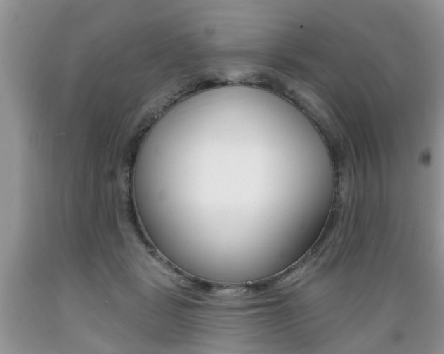 X0000089660461200706210734