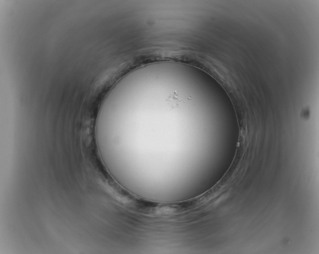 X0000089660462200706210734