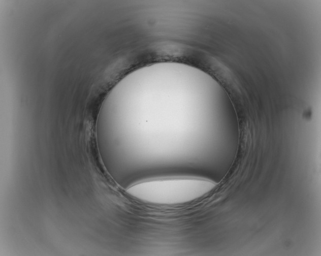 X0000089660463200706210734