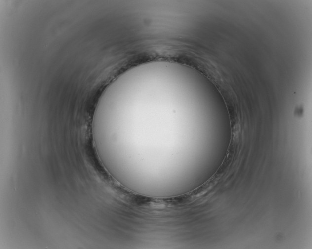 X0000089660464200706210734