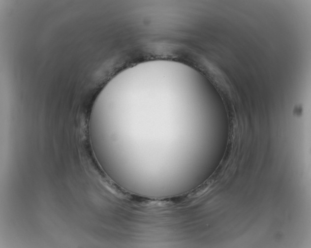X0000089660465200706210734