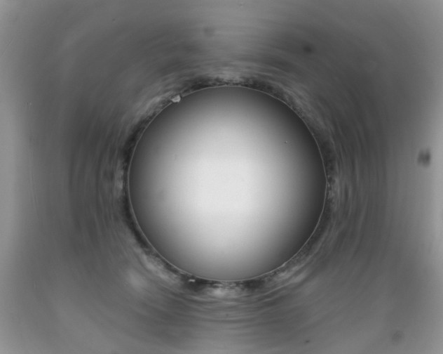 X0000089660466200706210734