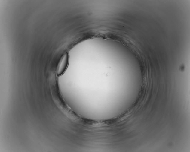 X0000089660468200706210734