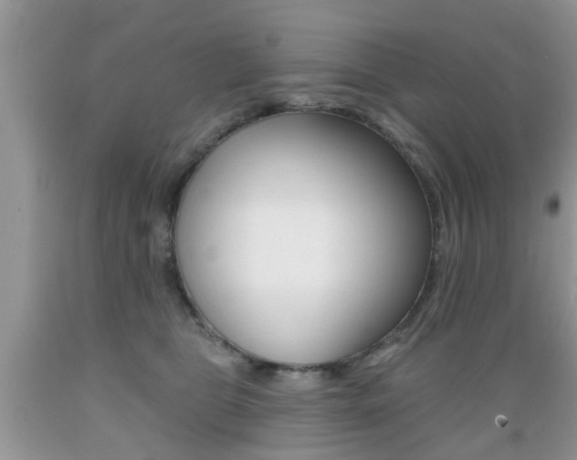 X0000089660469200706210734
