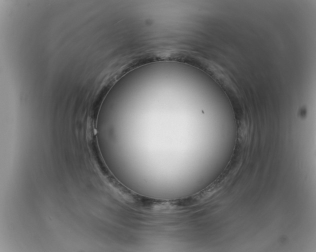 X0000089660470200706210734