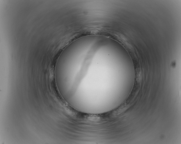 X0000089660471200706210734
