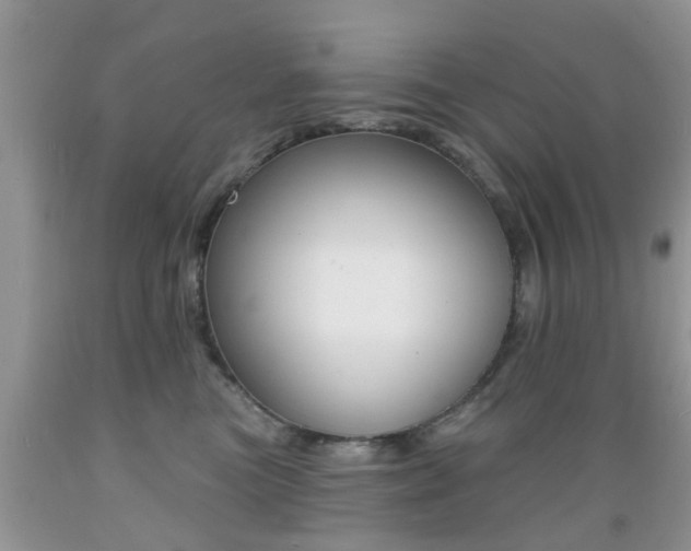 X0000089660473200706210734