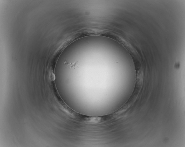 X0000089660474200706210734