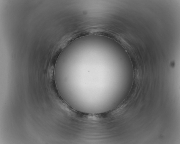 X0000089660475200706210734