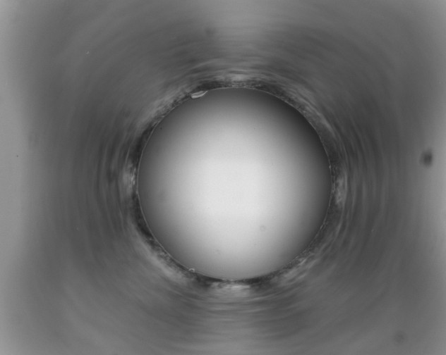 X0000089660476200706210734