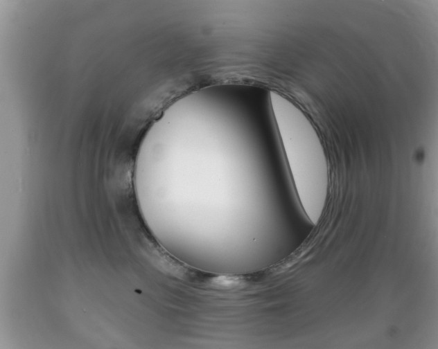 X0000089660477200706210734