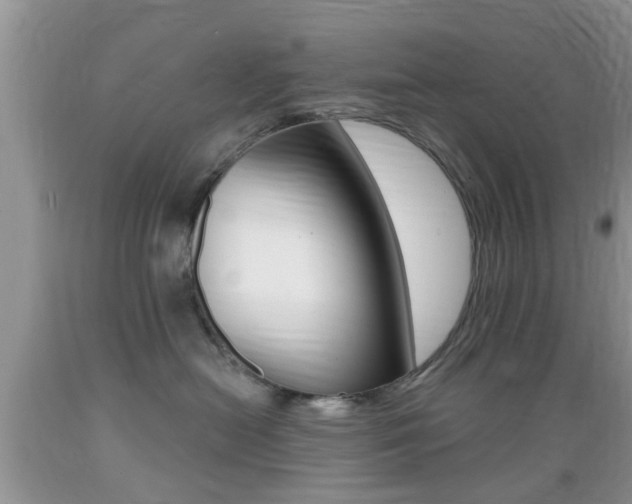 X0000089660478200706210734