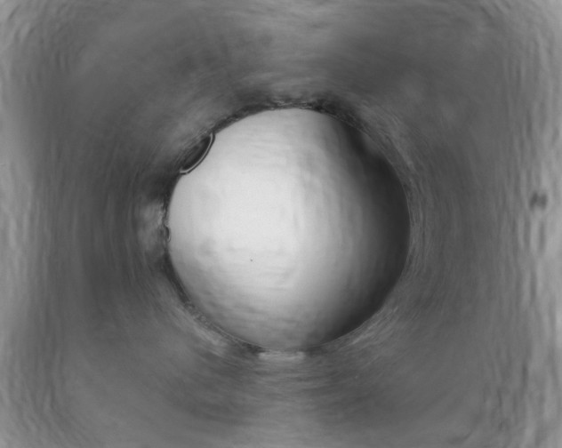 X0000089660480200706210734