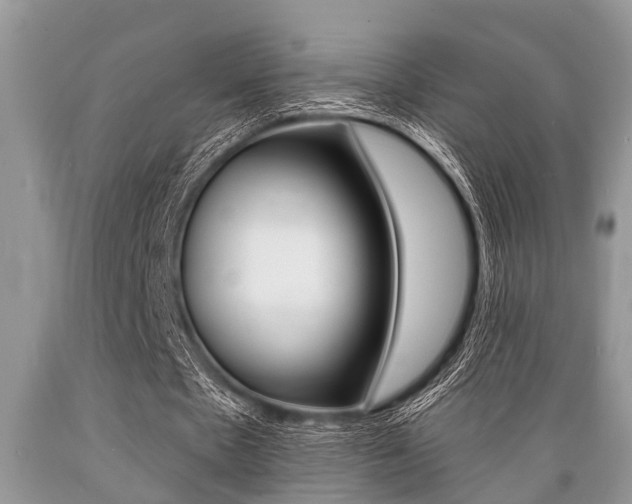 X0000089660481200706210734