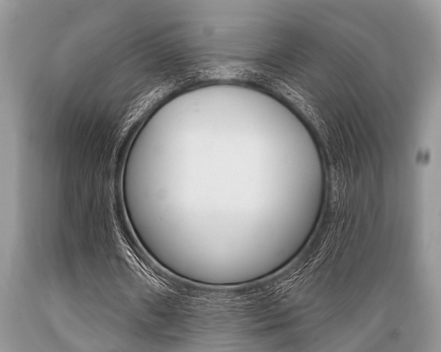 X0000089660482200706210734
